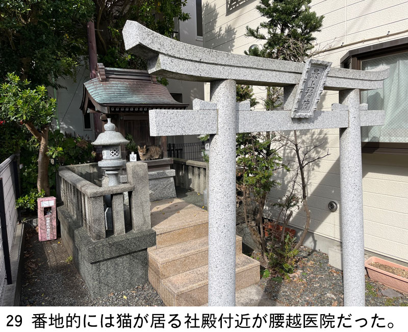 29 �Ԓn�I�ɂ͔L������Гa�t�߂����z��@�������B